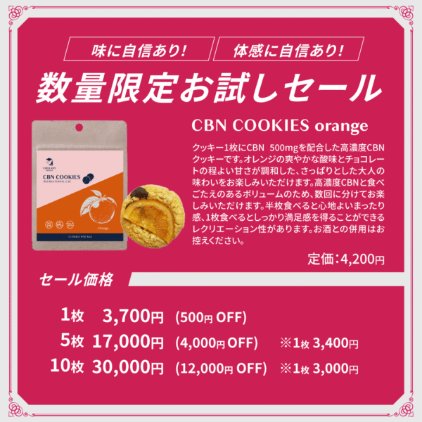 【新基準対応】CBNクッキー　オレンジ味 - 画像 (11)
